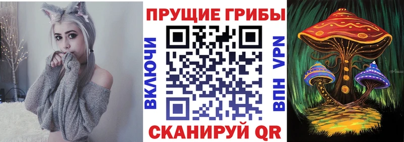 площадка официальный сайт  ОМГ ОМГ ссылки  Улан-Удэ  Псилоцибиновые грибы GOLDEN TEACHER 